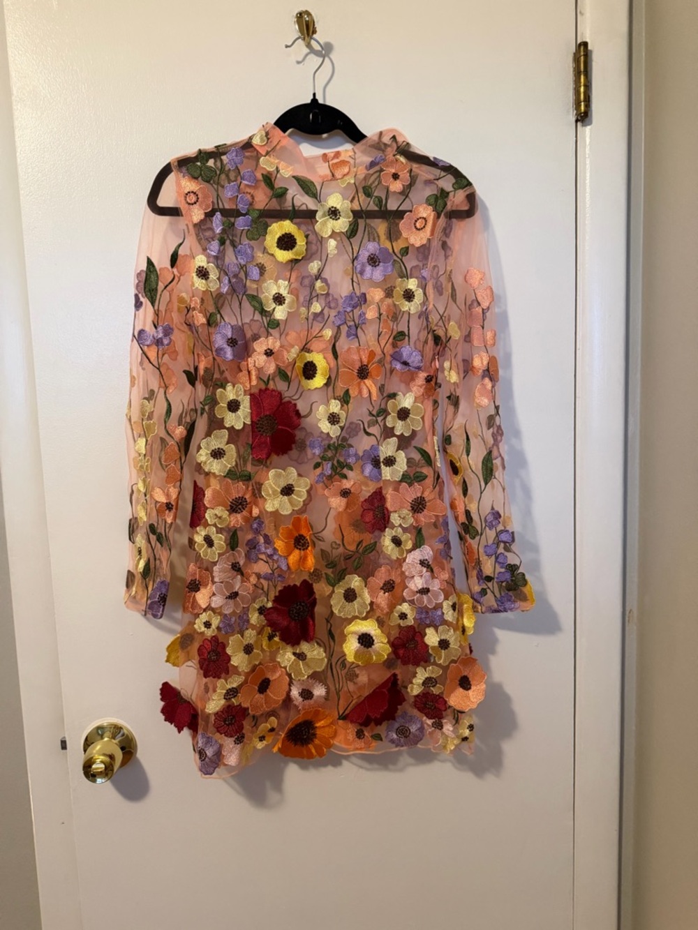 Finesse Peach Sheer Floral Embroidered Long Sleeve Mini Dress